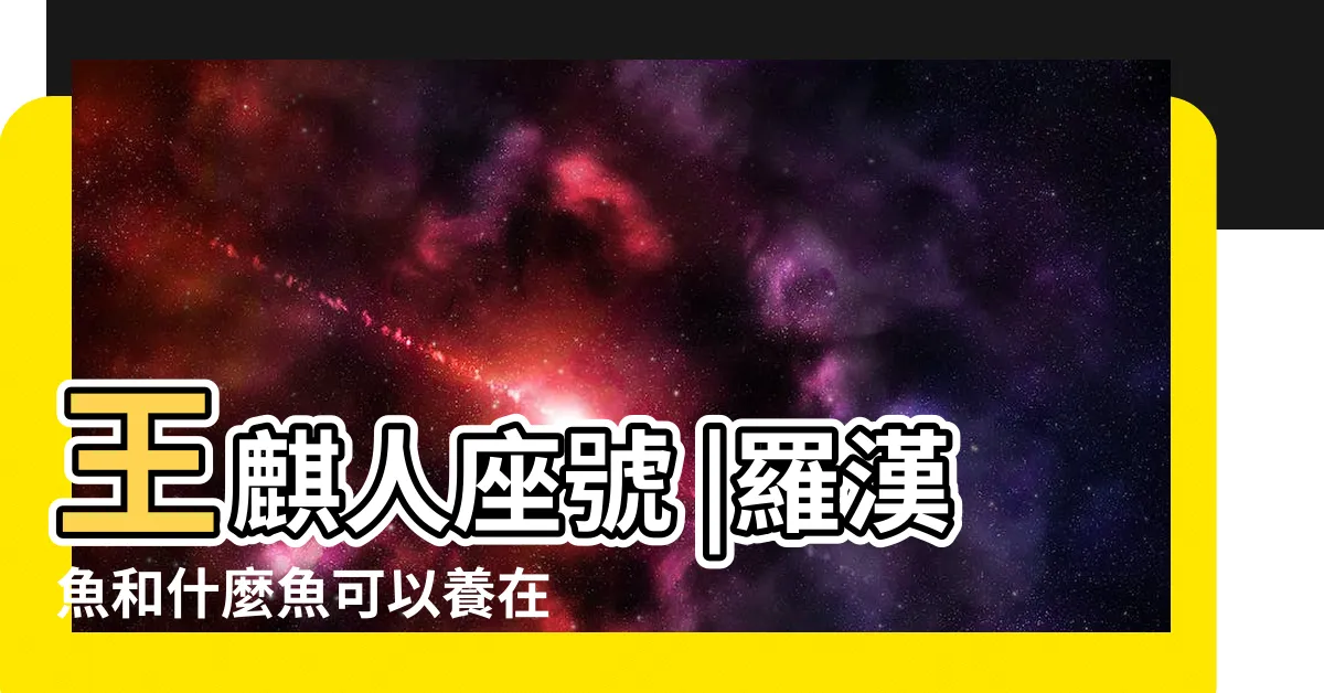 【花羅漢 混養】王麒人座號 |羅漢魚和什麼魚可以養在一起 |為什麼有的就可以 |