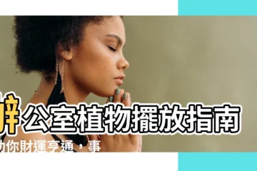 【辦公室植物風水】辦公室植物擺放指南：助你財運亨通，事事順利！