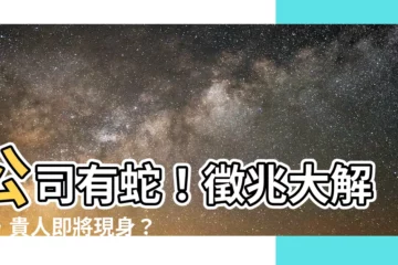 【公司有蛇】公司有蛇！徵兆大解析，貴人即將現身？