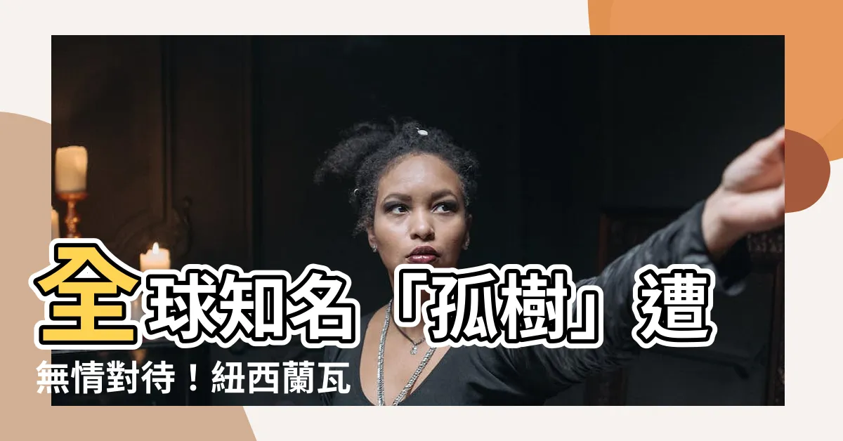 【孤樹】全球知名「孤樹」遭無情對待！紐西蘭瓦納卡湖畔的憂傷變遷