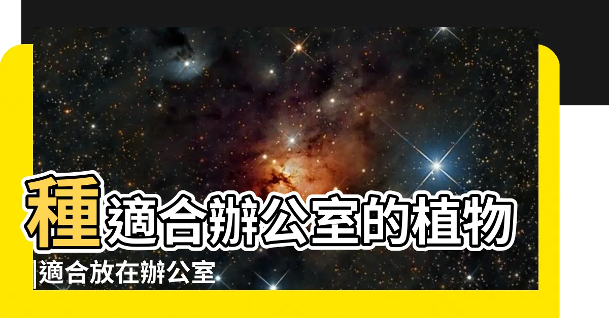【辦公室適合放什麼花】種適合辦公室的植物 |適合放在辦公室的植物 |辦公室盆栽 |