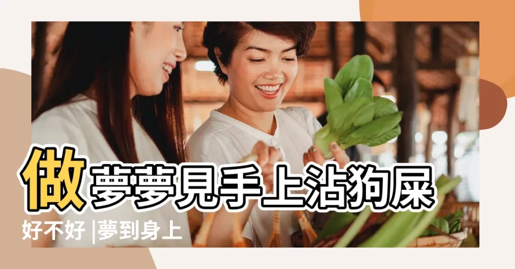 做夢夢見手上沾狗屎好不好 |夢到身上沾狗屎是什麼意思 |夢見被噴了一身狗屎 |【做夢沾了一身狗屎】