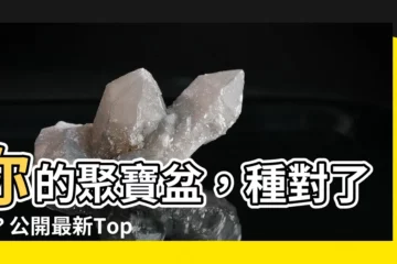 【聚寶盆植物】你的聚寶盆，種對了嗎？公開最新Top 100聚寶盆植物清單！