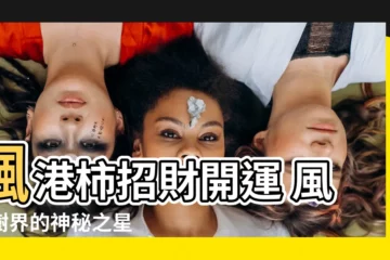 【楓港柿風水】楓港柿招財開運 風水樹界的神秘之星