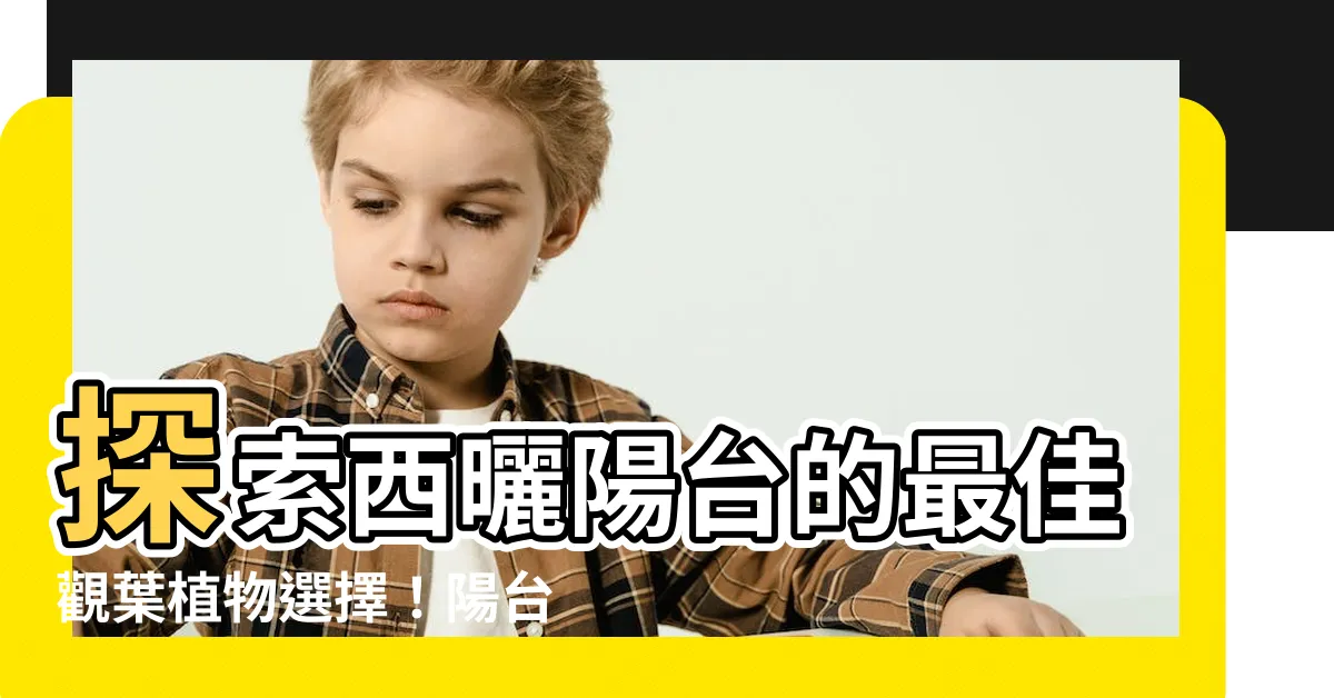 【西曬陽台觀葉植物】探索西曬陽台的最佳觀葉植物選擇！陽台方位評估與佈置指南