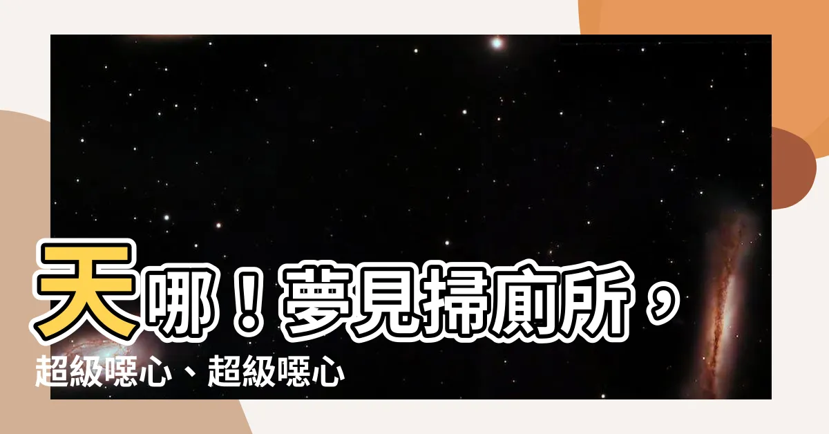 【夢見掃廁所】天哪！夢見掃廁所，超級噁心、超級噁心、超級噁心！