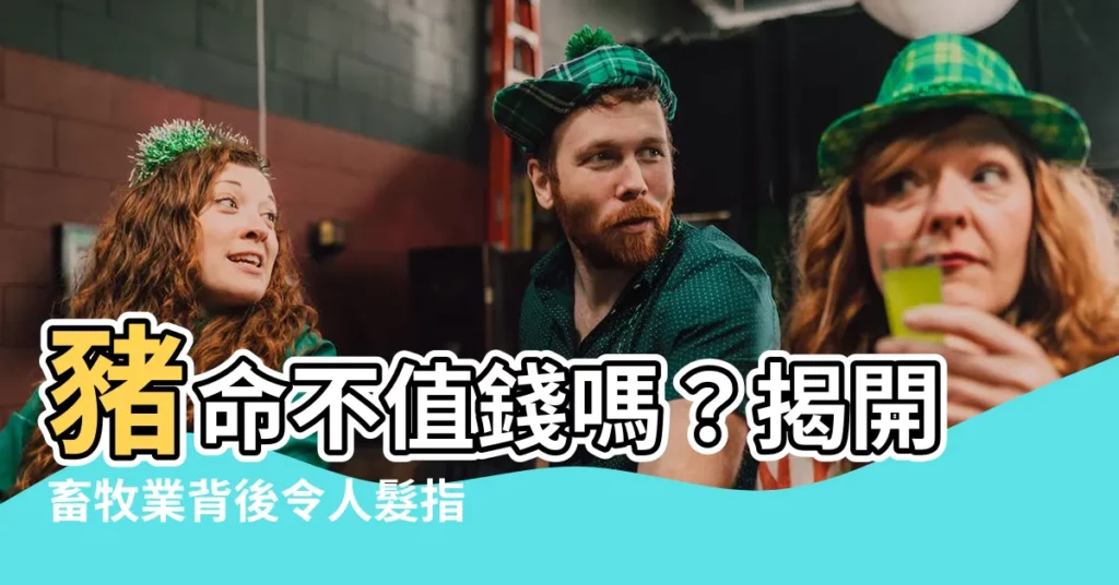 【豬命】豬命不值錢嗎?揭開畜牧業背後令人髮指的事實