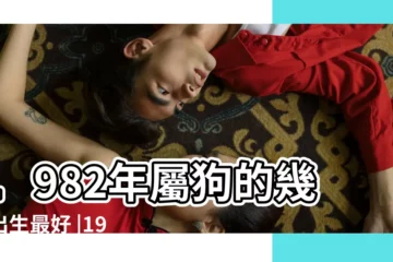 【1982年屬狗女8月出生是什麼命】1982年屬狗的幾月出生最好 |1982年農曆八月出生的狗 |運勢如何 |