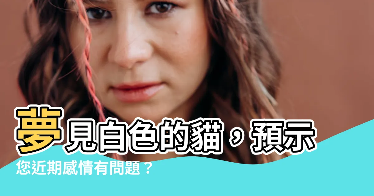 【夢見白色的貓】夢見白色的貓，預示您近期感情有問題？