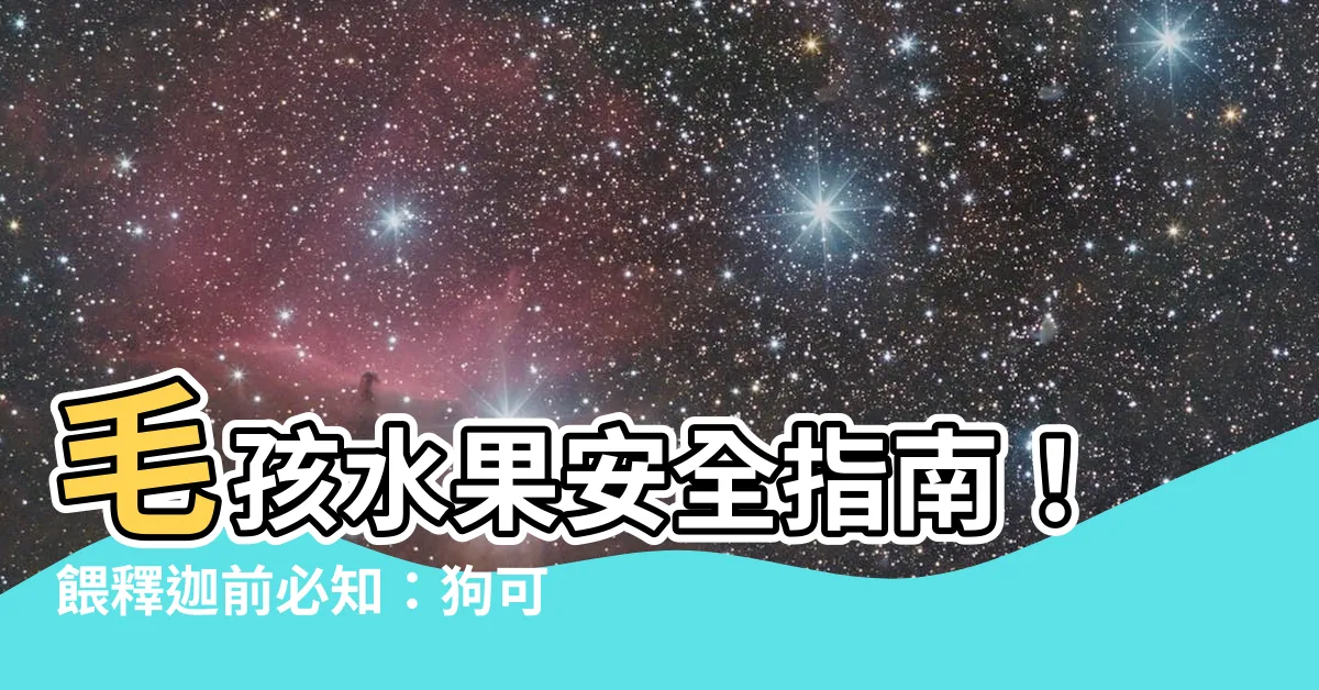【釋迦狗可以吃嗎】毛孩水果安全指南！餵釋迦前必知：狗可以吃釋迦嗎？