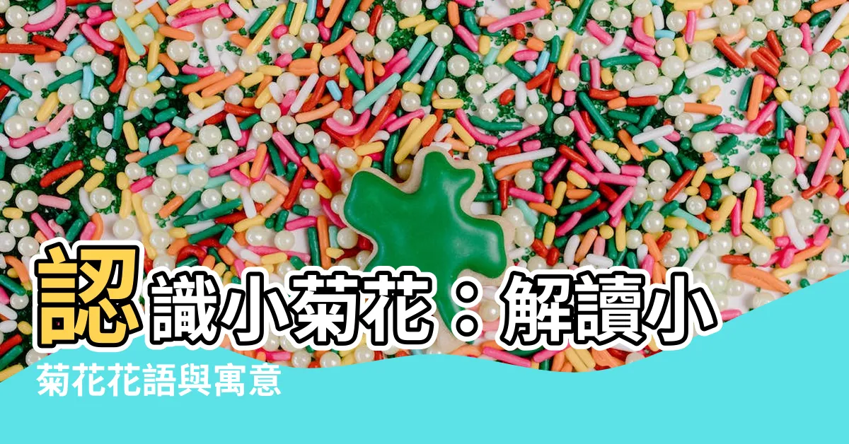 【小菊花花語】認識小菊花：解讀小菊花花語與寓意