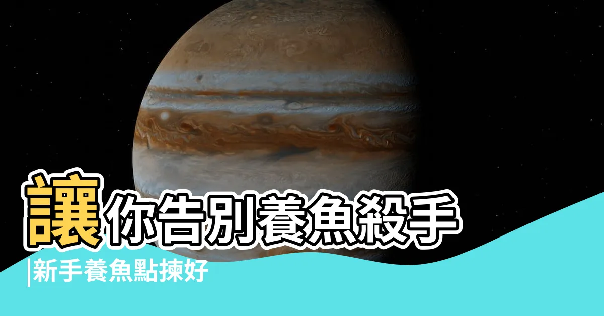 【易養魚】讓你告別養魚殺手 |新手養魚點揀好 |金魚街老闆介紹5種易養淡水觀賞魚 |