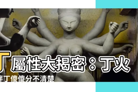 【丁屬性】丁屬性大揭密:丁火、胖丁傻傻分不清楚?
