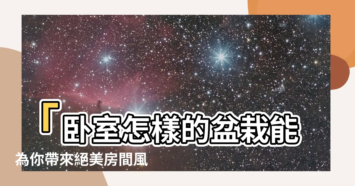 【房間放盆栽】「卧室怎樣的盆栽能為你帶來絕美房間風水？」