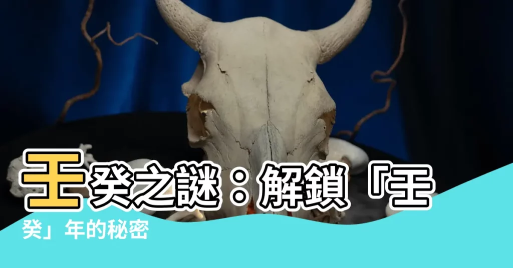 【壬葵】壬癸之謎：解鎖「壬癸」年的秘密