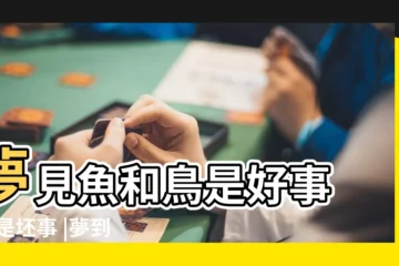 【夢見小鳥和小魚動物是什麼意思】夢見魚和鳥是好事 |還是坯事 |夢到鳥和魚是什麼意思 |