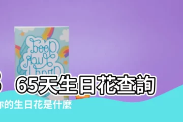 【生日花查詢】365天生日花查詢：你的生日花是什麼？揭開你的花語密碼