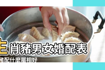 【男屬豬婚配什麼屬相】生肖豬男女婚配表 |男豬配什麼屬相好婚姻男屬豬的屬相婚配表 |屬豬的和什麼屬相最配 |