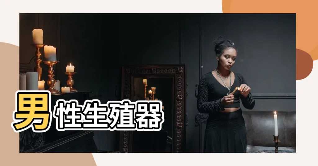 【男性生殖器圖片】男性生殖器