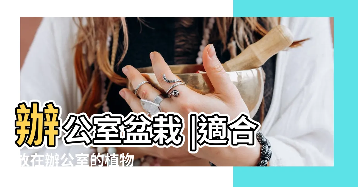 【寫字樓植物】辦公室盆栽 |適合放在辦公室的植物 |辦公室植物 |