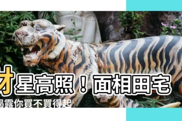 【面相田宅宮】財星高照！面相田宅宮揭露你買不買得起房