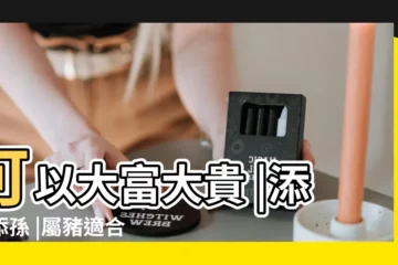 【生肖屬豬適合住幾樓好】可以大富大貴 |添子添孫 |屬豬適合住幾樓吉利 |