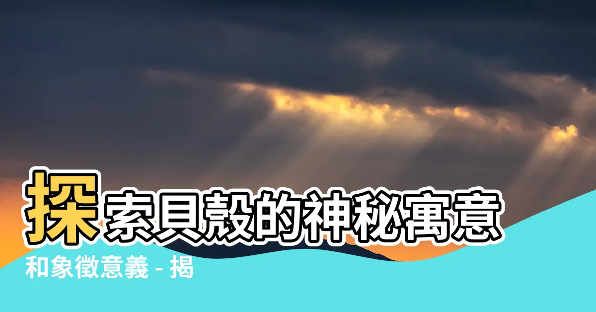 【貝殼寓意】探索貝殼的神秘寓意和象徵意義 - 揭開意想不到的貝殼世界