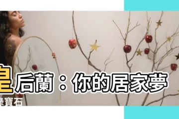 【皇后蘭種植】皇后蘭：你的居家夢幻綠寶石