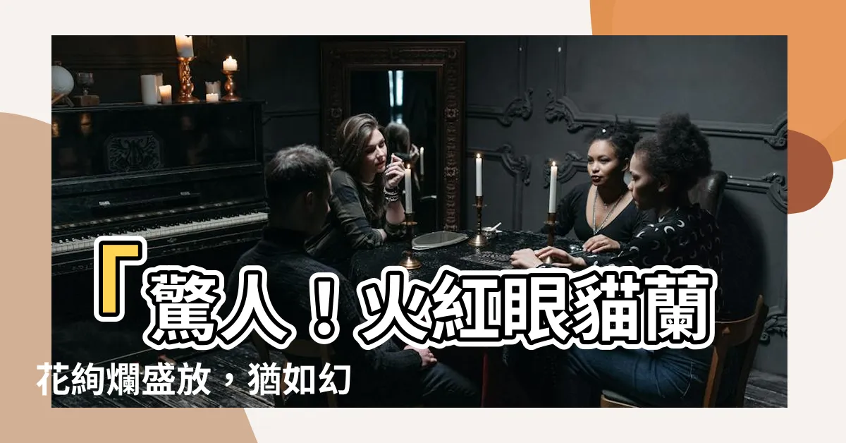 【紅眼貓蘭花】「驚人！火紅眼貓蘭花絢爛盛放，猶如幻夢般的紅眼睛王國！」
