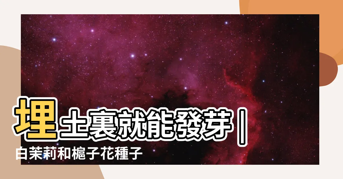 【梔子花種子】埋土裏就能發芽 |白茉莉和槴子花種子怎麼催芽 |梔子花還有種子 |