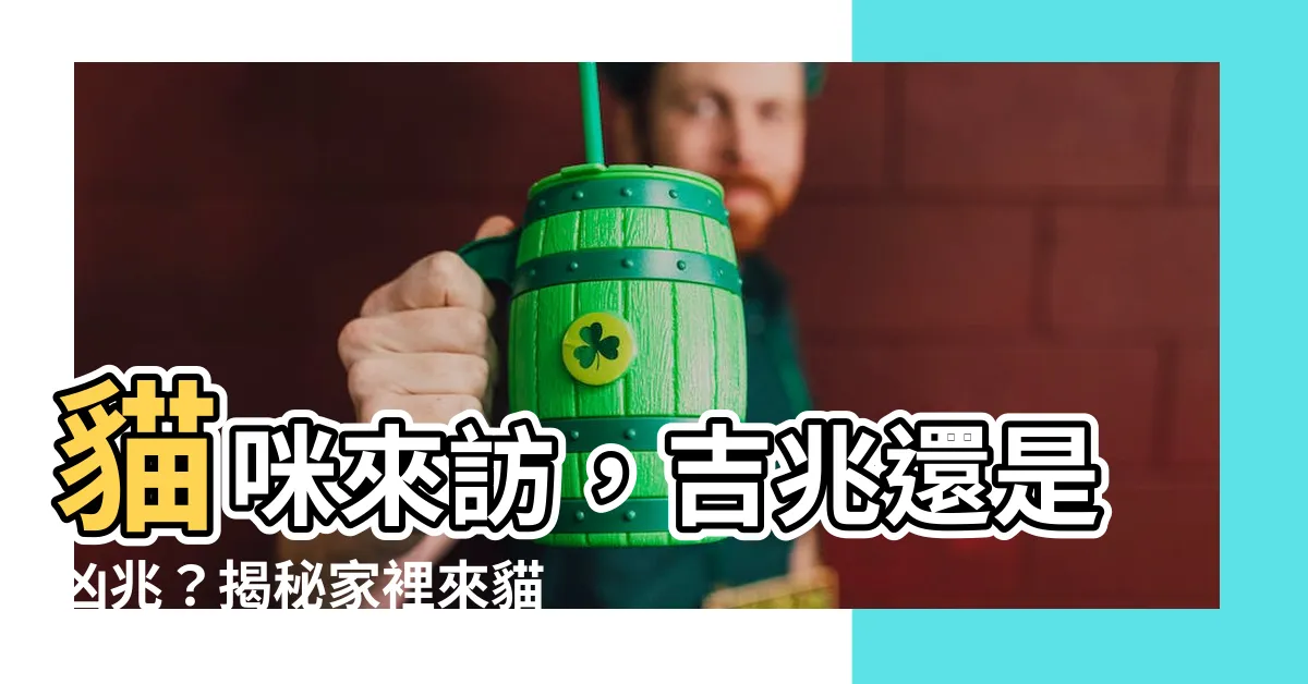 【家裏來貓好不好】貓咪來訪，吉兆還是凶兆？揭秘家裡來貓的徵兆！