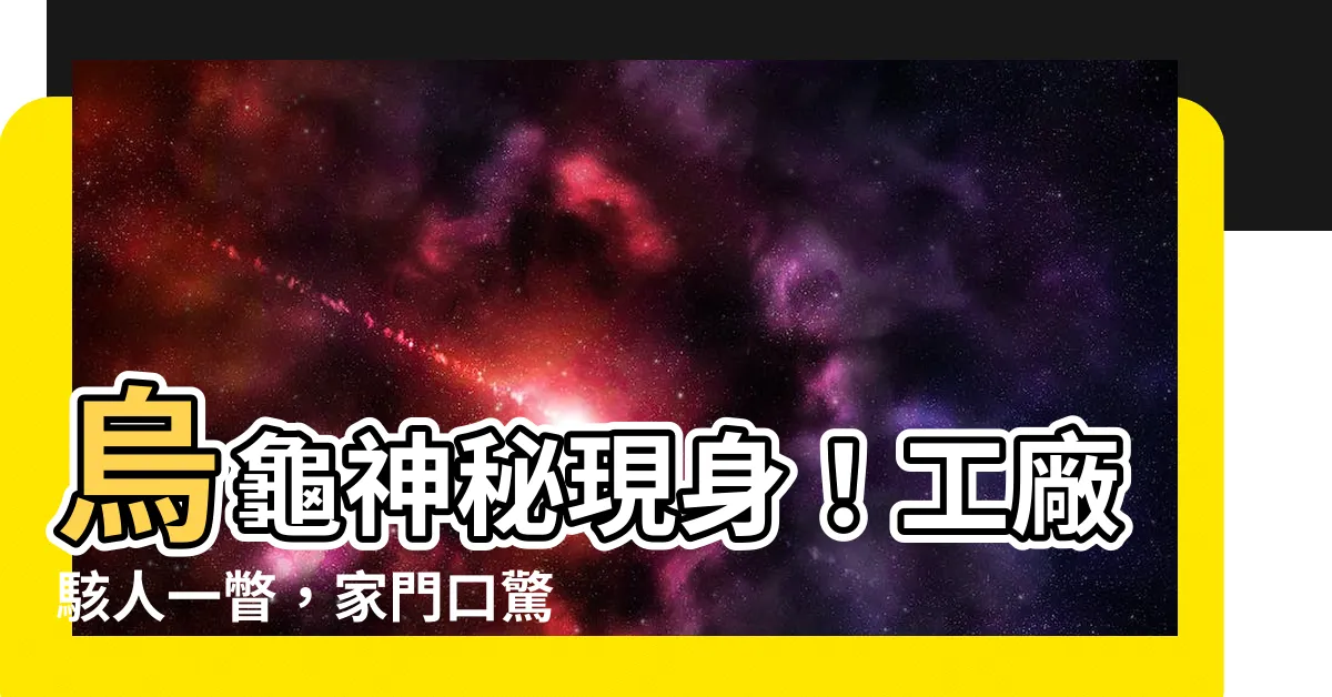 【烏龜突然出現】烏龜神秘現身！工廠駭人一瞥，家門口驚喜來訪！