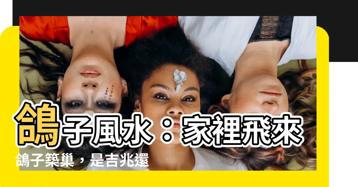 【鴿子風水】鴿子風水：家裡飛來鴿子築巢，是吉兆還是麻煩事？