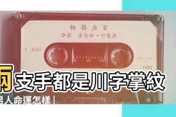 【川字左右手相男人】兩支手都是川字掌紋的男人命運怎樣 |古代相書對男人手相擁有 |九種富貴手相圖解男生雙川字掌怎麼樣 |