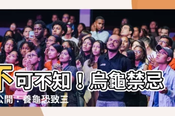 【烏龜禁忌】不可不知！烏龜禁忌大公開：養龜恐致三代窮？風水秘辛全解析