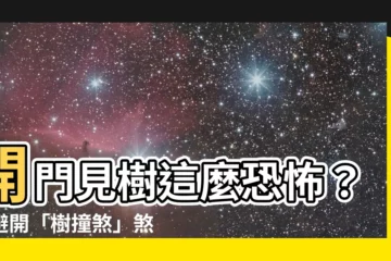 【開門見樹】開門見樹這麼恐怖？快避開「樹撞煞」煞氣！