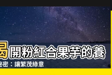 【粉紅合果芋照顧】揭開粉紅合果芋的養護秘密：讓繁茂綠意妝點你的居家