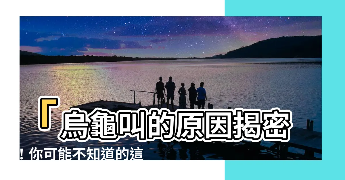 【烏龜叫的原因】「烏龜叫的原因揭密！你可能不知道的這幾種情況」