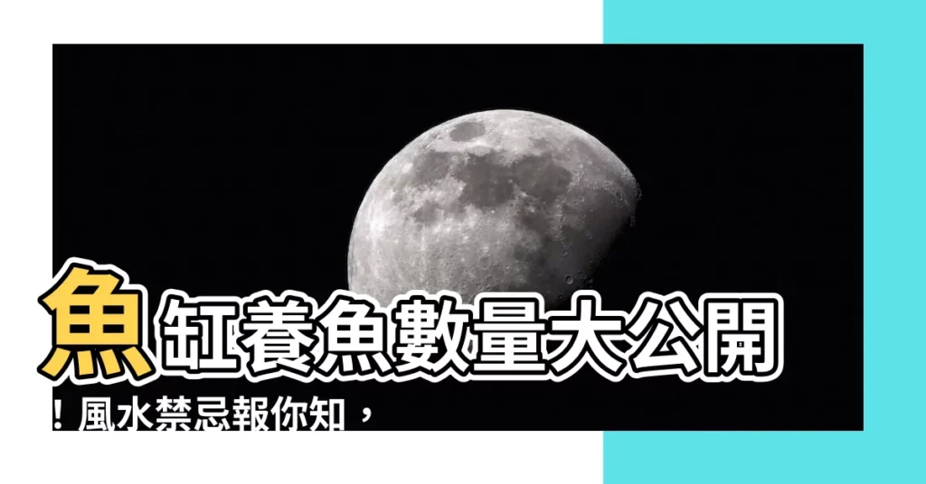 【魚缸 魚數量】魚缸養魚數量大公開！風水禁忌報你知，轉運又招財