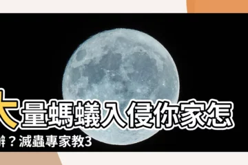 【大量螞蟻出現】大量螞蟻入侵你家怎麼辦？滅蟲專家教3招徹底消滅