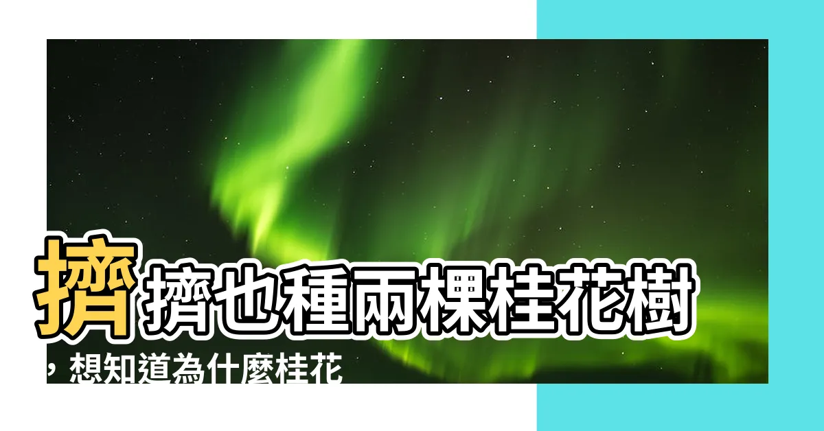 【桂花要種幾棵】擠擠也種兩棵桂花樹，想知道為什麼桂花要種幾棵嗎？