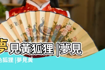 【夢到一隻黃色狐狸】夢見黃狐狸 |夢見黃色狐狸 |夢見黃狐狸 |