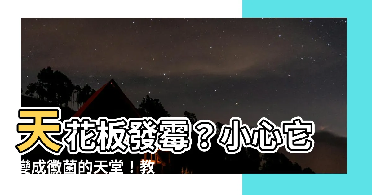 【天花發黴】天花板發黴？小心它變成黴菌的天堂！教你三招天然除黴法