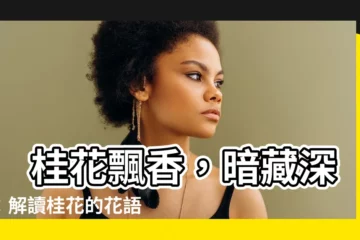 【桂花意思】 桂花飄香，暗藏深意：解讀桂花的花語和文化寓意