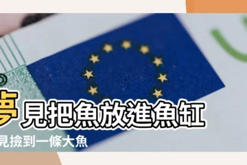 【夢見在地上撿魚放進魚缸裏】夢見把魚放進魚缸 |夢見撿到一條大魚 |做夢夢見撿到魚好不好 |