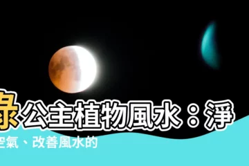 【綠公主植物風水】綠公主植物風水：淨化空氣、改善風水的居家綠寶石