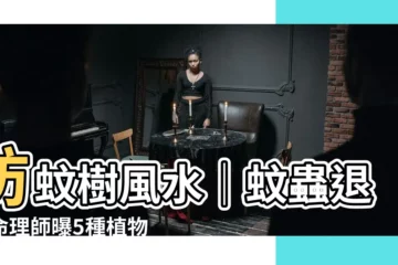 【防蚊樹風水】防蚊樹風水｜蚊蟲退！命理師曝5種植物居家擺放這樣做