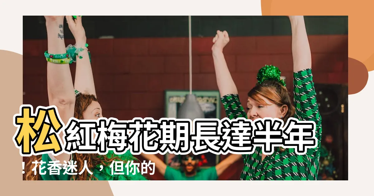 【松紅梅花期】松紅梅花期長達半年！花香迷人，但你的家適合種嗎？