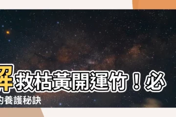 【開運竹枯黃】解救枯黃開運竹！必知的養護秘訣