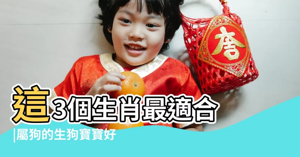 這3個生肖最適合 |屬狗的生狗寶寶好嗎 |屬狗人龍年生孩子注意事項 |【屬狗能生狗寶寶嗎】